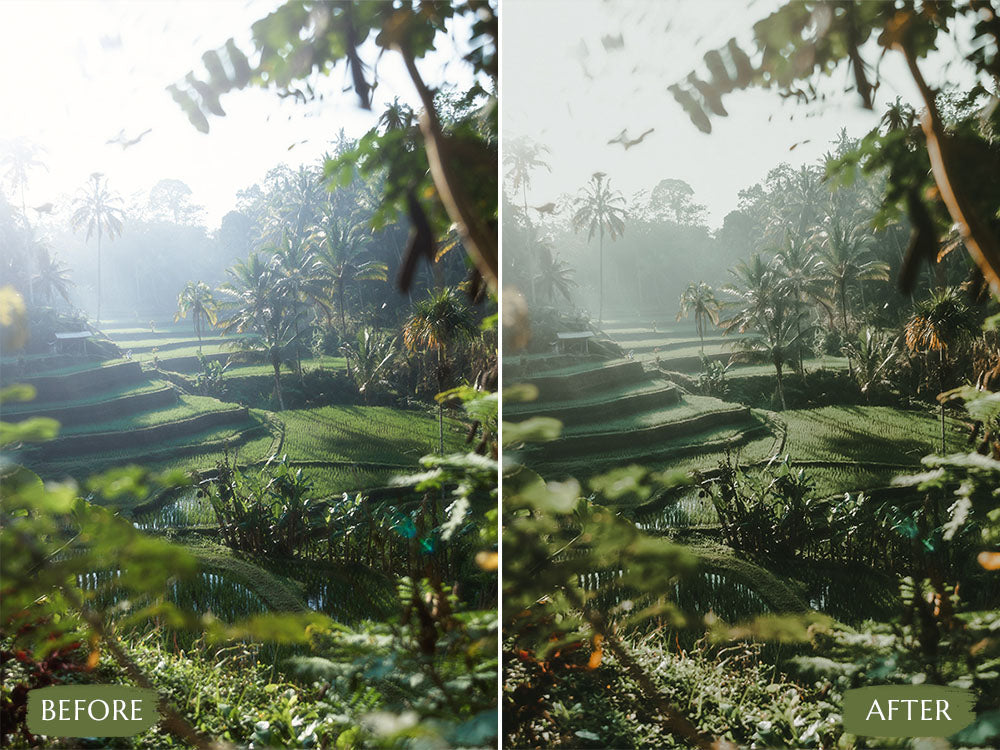 bali'  'bali luts'  'bali luts free download' 'lut bali' 'bali luts free' 'bali lut premiere pro' 'davinci resolve free luts' 'lightroom presets free' 'presets for lightroom' 'best free luts for premiere pro' 'free lightroom mobile presets' 'Free Desktop Lightroom Presets' 'lightroom mobile presets 'best lightroom presets free' 'lightroom presets free download' 'best free luts for davinci resolve' 'best free luts premiere pro' 'free adobe premiere luts' 'Video LUTs' 'free video luts'