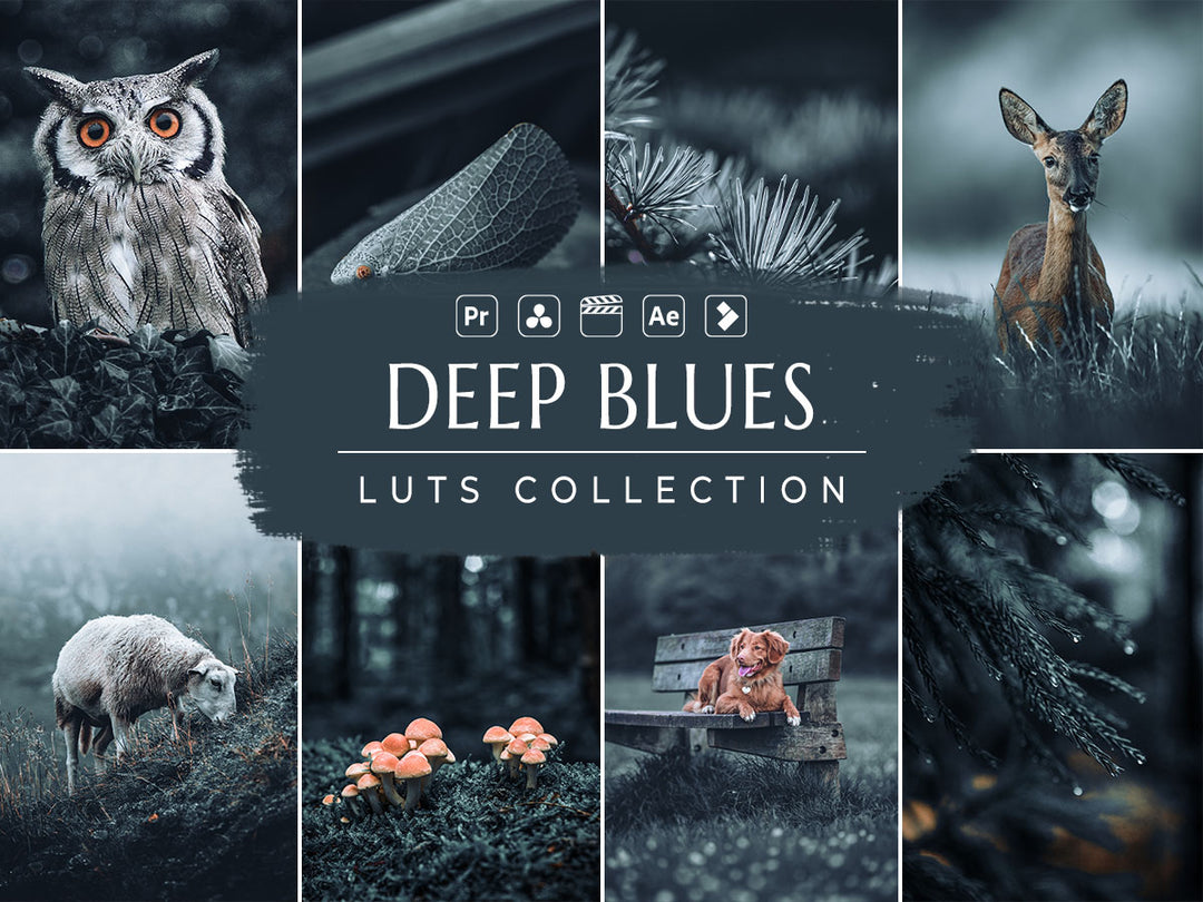 deep blues Video LUTs' 'deep blue luts' 'blues luts' 'davinci resolve free luts' 'best free luts for final cut pro' 'filmora luts''lightroom presets free' 'presets for lightroom' 'best free luts for premiere pro' 'free lightroom mobile presets' 'Free Desktop Lightroom Presets' 'photo presets' 'lightroom mobile presets 'best lightroom presets free' 'lightroom presets free download' 'best free luts for davinci resolve' 'best free luts premiere pro' 'free adobe premiere luts' 'Video LUTs' 'free video luts'