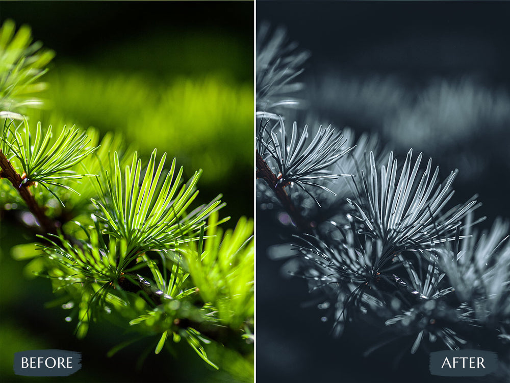 deep blues Video LUTs' 'deep blue luts' 'blues luts' 'davinci resolve free luts' 'best free luts for final cut pro' 'filmora luts''lightroom presets free' 'presets for lightroom' 'best free luts for premiere pro' 'free lightroom mobile presets' 'Free Desktop Lightroom Presets' 'photo presets' 'lightroom mobile presets 'best lightroom presets free' 'lightroom presets free download' 'best free luts for davinci resolve' 'best free luts premiere pro' 'free adobe premiere luts' 'Video LUTs' 'free video luts'