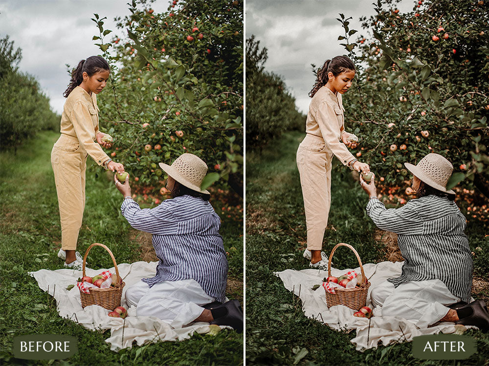 Earthy Tones lut''Earthy Tones luts''Earthy Tones luts''Earthy Tones lut premiere pro''Earthy Tones lut free' 'davinci resolve Earthy Tones luts''Earthy Tones luts premiere pro free' 'free Earthy Tones luts for premiere pro' 'free lightroom mobile presets' 'Free Desktop Lightroom Presets' 'lightroom mobile presets 'best lightroom presets free' 'lightroom presets free download' 'best free luts for davinci resolve' 'best free luts premiere pro''Video LUTs' 'free video luts'