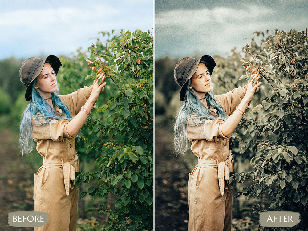 filmic & moody Video LUTs' 'filmic & moody luts' 'moody lut' 'moody video luts free' 'davinci resolve free luts' 'lightroom presets free' 'presets for lightroom' 'best free luts for premiere pro' 'free lightroom mobile presets' 'Free Desktop Lightroom Presets' 'lightroom mobile presets 'best lightroom presets free' 'lightroom presets free download' 'best free luts for davinci resolve' 'best free luts premiere pro' 'free adobe premiere luts' 'Video LUTs' 'free video luts'