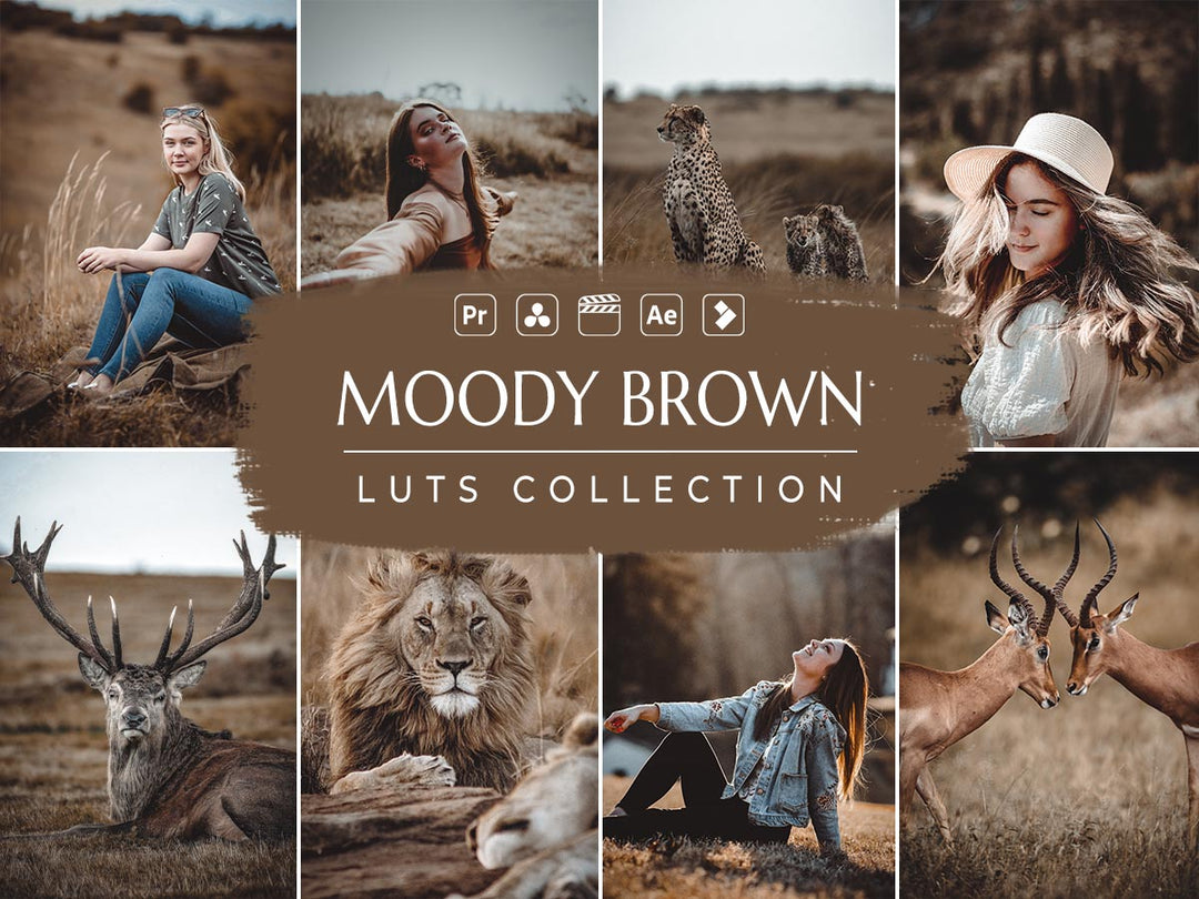 moody brown'  'moody brown luts'  'moody brown luts free download' 'lut moody brown' 'moody brown luts free' 'davinci resolve free luts' 'lightroom presets free' 'presets for lightroom' 'best free luts for premiere pro' 'free lightroom mobile presets' 'Free Desktop Lightroom Presets' 'lightroom mobile presets 'best lightroom presets free' 'lightroom presets free download' 'best free luts for davinci resolve' 'best free luts premiere pro' 'free adobe premiere luts' 'Video LUTs' 'free video luts'