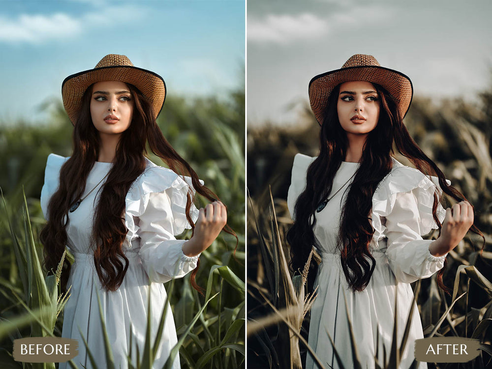 radiant light Video LUTs' 'radiant light luts' 'radiant light lut' 'radiant light video luts free' 'davinci resolve free luts' 'lightroom presets free' 'presets for lightroom' 'best free luts for premiere pro' 'free lightroom mobile presets' 'Free Desktop Lightroom Presets' 'lightroom mobile presets 'best lightroom presets free' 'lightroom presets free download' 'best free luts for davinci resolve' 'best free luts premiere pro' 'free adobe premiere luts' 'Video LUTs' 'free video luts'