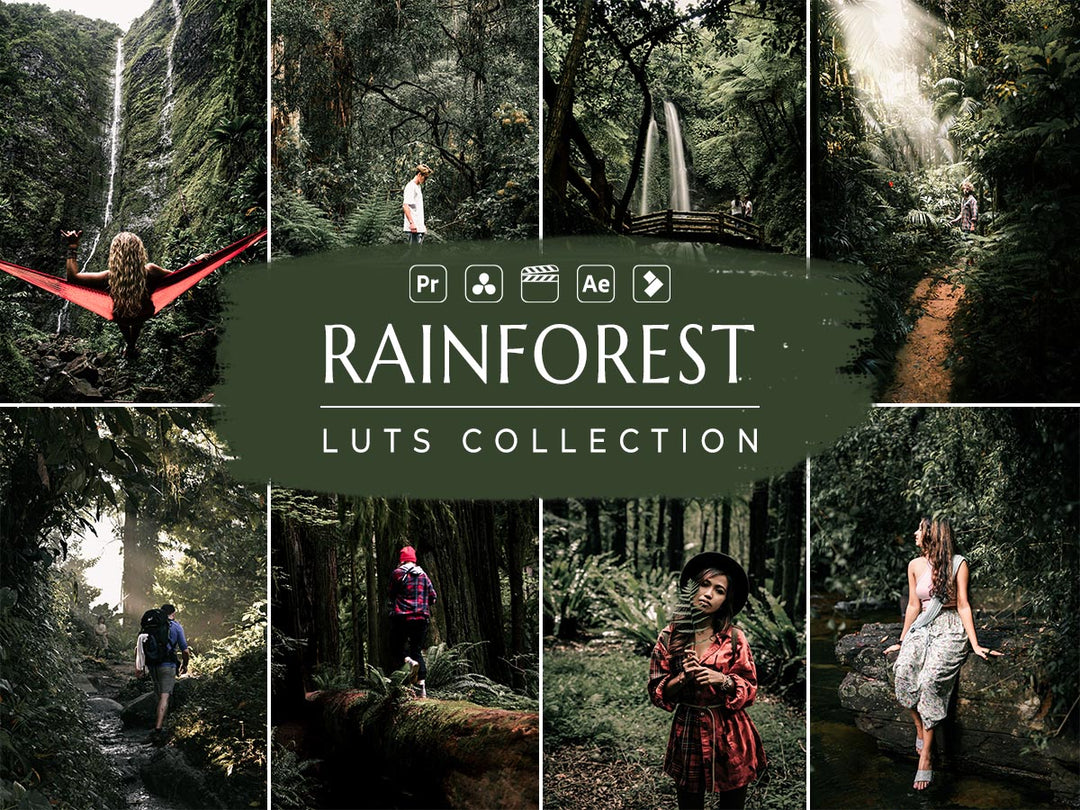 rainforest Video LUTs' 'rainforest luts' 'rainforest lut' 'rainforest video luts free' 'davinci resolve free luts' 'lightroom presets free' 'presets for lightroom' 'best free luts for premiere pro' 'free lightroom mobile presets' 'Free Desktop Lightroom Presets' 'lightroom mobile presets 'best lightroom presets free' 'lightroom presets free download' 'best free luts for davinci resolve' 'best free luts premiere pro' 'free adobe premiere luts' 'Video LUTs' 'free video luts'