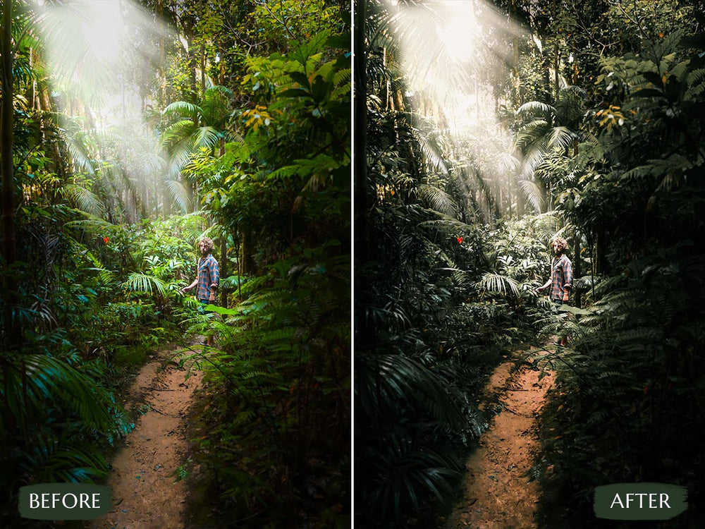 rainforest Video LUTs' 'rainforest luts' 'rainforest lut' 'rainforest video luts free' 'davinci resolve free luts' 'lightroom presets free' 'presets for lightroom' 'best free luts for premiere pro' 'free lightroom mobile presets' 'Free Desktop Lightroom Presets' 'lightroom mobile presets 'best lightroom presets free' 'lightroom presets free download' 'best free luts for davinci resolve' 'best free luts premiere pro' 'free adobe premiere luts' 'Video LUTs' 'free video luts'