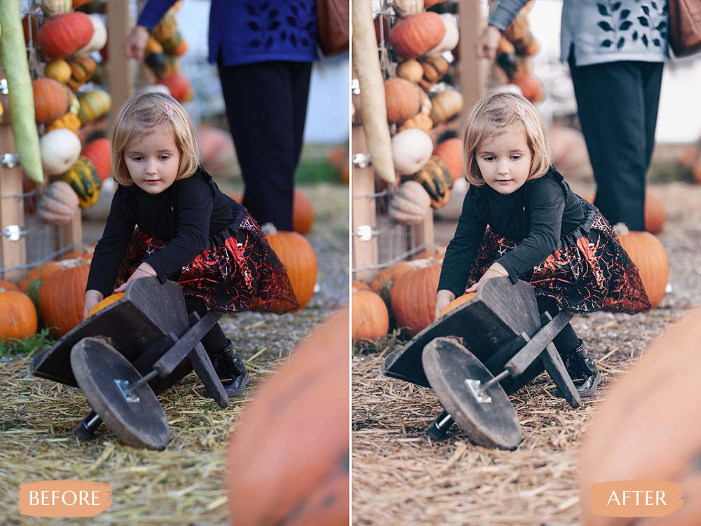 rwarm harvest Video LUTs' 'warm harvest luts' 'warm harvest lut' 'warm harvest video luts free' 'davinci resolve free luts' 'lightroom presets free' 'presets for lightroom' 'best free luts for premiere pro' 'free lightroom mobile presets' 'Free Desktop Lightroom Presets' 'lightroom mobile presets 'best lightroom presets free' 'lightroom presets free download' 'best free luts for davinci resolve' 'best free luts premiere pro' 'free adobe premiere luts' 'Video LUTs' 'free video luts'