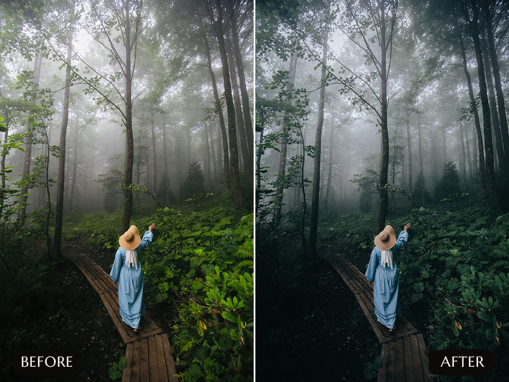 moody luts for premiere pro' free moody luts for premiere pro LUTs' instagram LUTs' landscape presets'lightroom' 'adobe lightroom' 'lightroom presets' 'presets' 'free lightroom presets' 'lightroom presets free' 'presets for lightroom' 'free presets' 'best lightroom presets' 'free lightroom mobile presets' 'Free Desktop Lightroom Presets' 'photo presets' lightroom mobile presets 'best lightroom presets free' 'lightroom presets free download' 'LR Presets' 'Wedding Photography Presets'