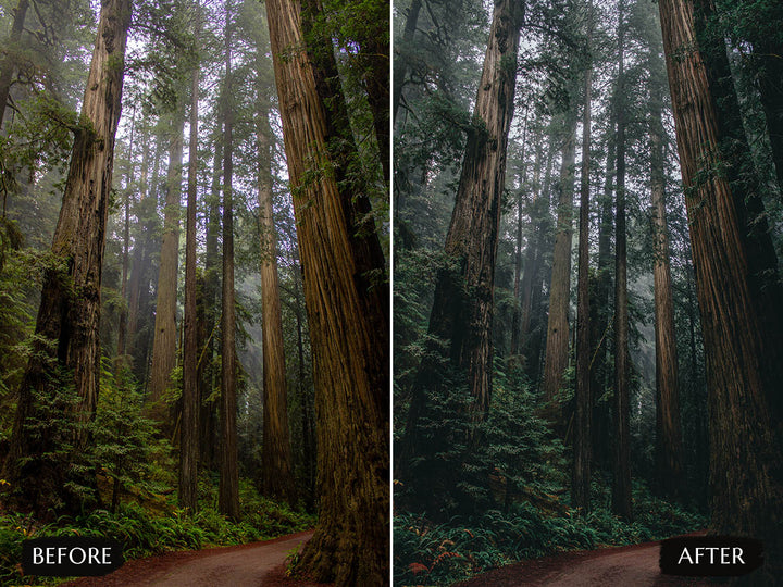 moody luts for premiere pro' free moody luts for premiere pro LUTs' instagram LUTs' landscape presets'lightroom' 'adobe lightroom' 'lightroom presets' 'presets' 'free lightroom presets' 'lightroom presets free' 'presets for lightroom' 'free presets' 'best lightroom presets' 'free lightroom mobile presets' 'Free Desktop Lightroom Presets' 'photo presets' lightroom mobile presets 'best lightroom presets free' 'lightroom presets free download' 'LR Presets' 'Wedding Photography Presets'