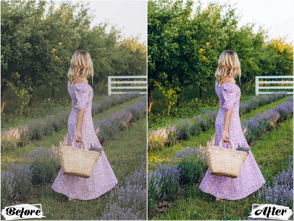 outdoor, outdoor luts, outdoor video luts, outdoor luts free, best outdoor luts, outdoor lut, video luts, filmora luts, free luts for davinci resolve 16, lut filmora, music video luts, luts video editing, free luts davinci resolve 16, lut editing, free luts for davinci resolve 17, best free luts premiere pro, free video luts, luts for filmora, free luts for filmora, luts for davinci resolve 17