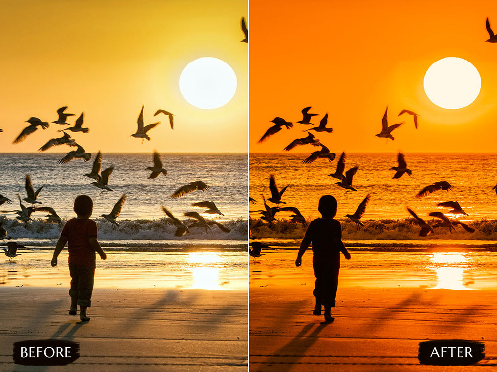 Perfect Sunset Video LUTs' sunset LUTs' 'sunset video LUTs' instagram LUTs' landscape presets'lightroom' 'adobe lightroom' 'lightroom presets' 'presets' 'free lightroom presets' 'lightroom presets free' 'presets for lightroom' 'free presets' 'best lightroom presets' 'free lightroom mobile presets' 'Free Desktop Lightroom Presets' 'photo presets' lightroom mobile presets 'best lightroom presets free' 'lightroom presets free download' 'LR Presets' 'Wedding Photography Presets' 'Lightroom Instagram presets'