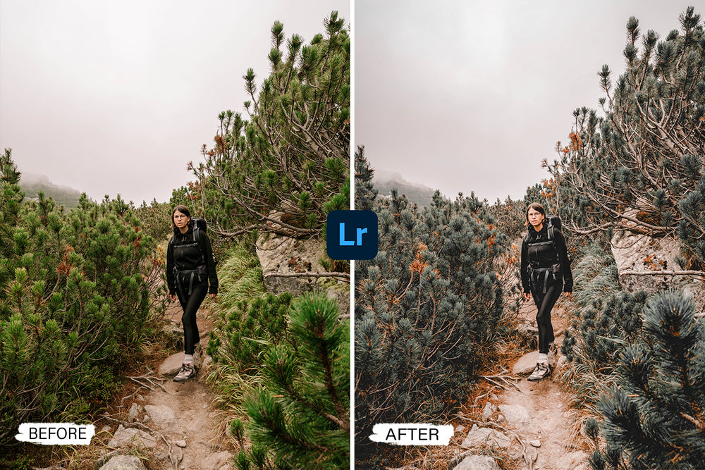 Moody Folk Video LUTs 'lightroom' 'adobe lightroom' 'lightroom presets' 'presets' 'free lightroom presets' 'lightroom presets free' 'presets for lightroom' 'best lightroom presets' 'free lightroom mobile presets' 'Free Desktop Lightroom Presets' 'photo presets' 'lightroom mobile presets 'best lightroom presets free' 'lightroom presets free download' 'LR Presets' 'Wedding Photography Presets' 'Lightroom Instagram presets' 'Video LUTs' 'Beach Lightroom Mobile Presets'