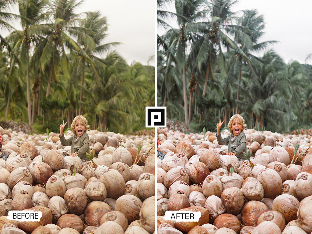 'Coconut Video LUTs' 'lightroom' 'adobe lightroom' 'lightroom presets' 'presets' 'free lightroom presets' 'lightroom presets free' 'presets for lightroom' 'free presets' 'best lightroom presets' 'free lightroom mobile presets' 'Free Desktop Lightroom Presets' 'photo presets' 'lightroom mobile presets' 'best lightroom presets free' 'lightroom presets free download' 'LR Presets' 'Wedding Photography Presets' 'Lightroom Instagram presets' 'Video LUTs' 'free Video LUTs for Premiere Pro'