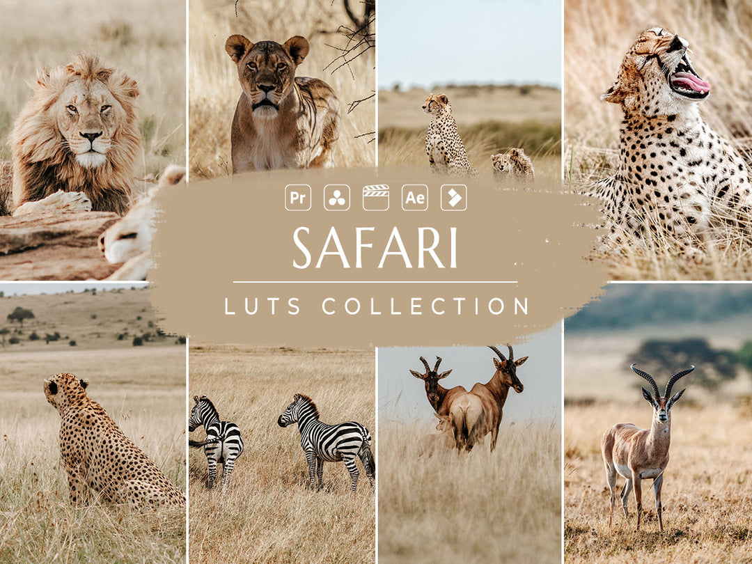 Safari Video LUTs' safari luts' safari luts free' 'landscape presets'lightroom' 'adobe lightroom' 'lightroom presets' 'presets' 'free lightroom presets' 'lightroom presets free' 'presets for lightroom' 'free presets' 'best lightroom presets' 'free lightroom mobile presets' 'Free Desktop Lightroom Presets' 'photo presets' lightroom mobile presets 'best lightroom presets free' 'lightroom presets free download' 'LR Presets'