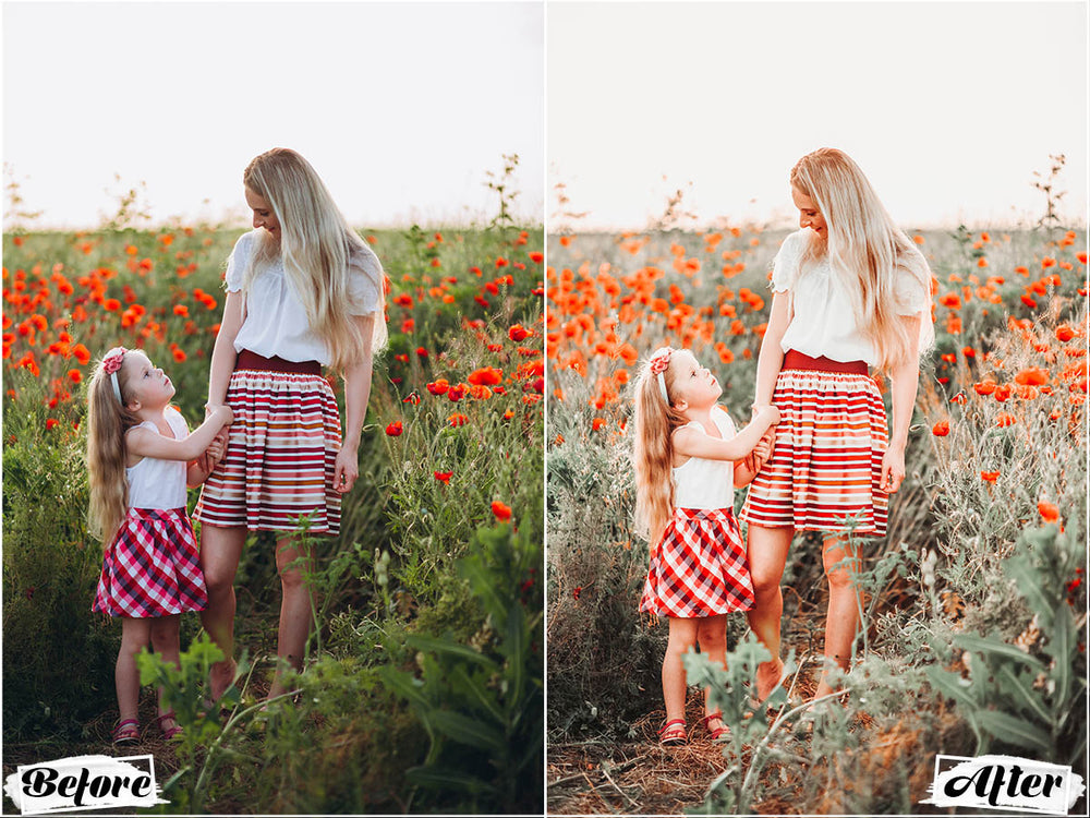 warm spring, warm spring luts, warm spring video luts, warm spring luts free, warm spring video luts free, warm, warm luts, warm video luts, spring, spring luts, spring video luts, video luts, filmora luts, free luts for davinci resolve 16, lut filmora, music video luts, luts video editing, free luts davinci resolve 16, lut editing, free luts for davinci resolve 17, best free luts premiere pro, free video luts, luts for filmora, free luts for filmora, luts for davinci resolve 17