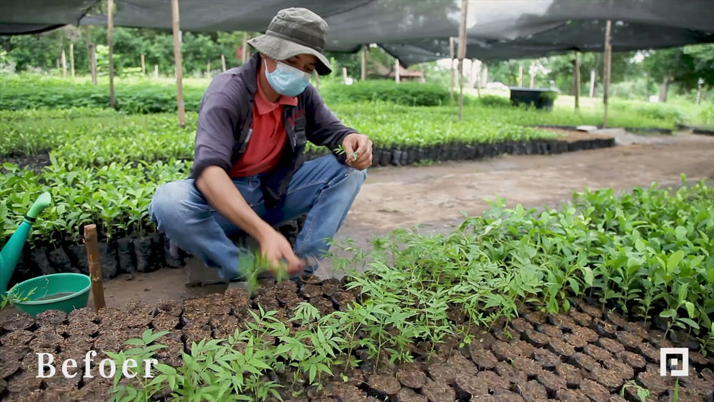 Organic Video LUTs 'lightroom' 'adobe lightroom' 'lightroom presets' 'presets' 'free lightroom presets' 'lightroom presets free' 'presets for lightroom' 'best lightroom presets' 'free lightroom mobile presets' 'Free Desktop Lightroom Presets' 'photo presets' 'lightroom mobile presets 'best lightroom presets free' 'lightroom presets free download' 'LR Presets' 'Wedding Photography Presets' 'Lightroom Instagram presets' 'Video LUTs' 'Beach Lightroom Mobile Presets'