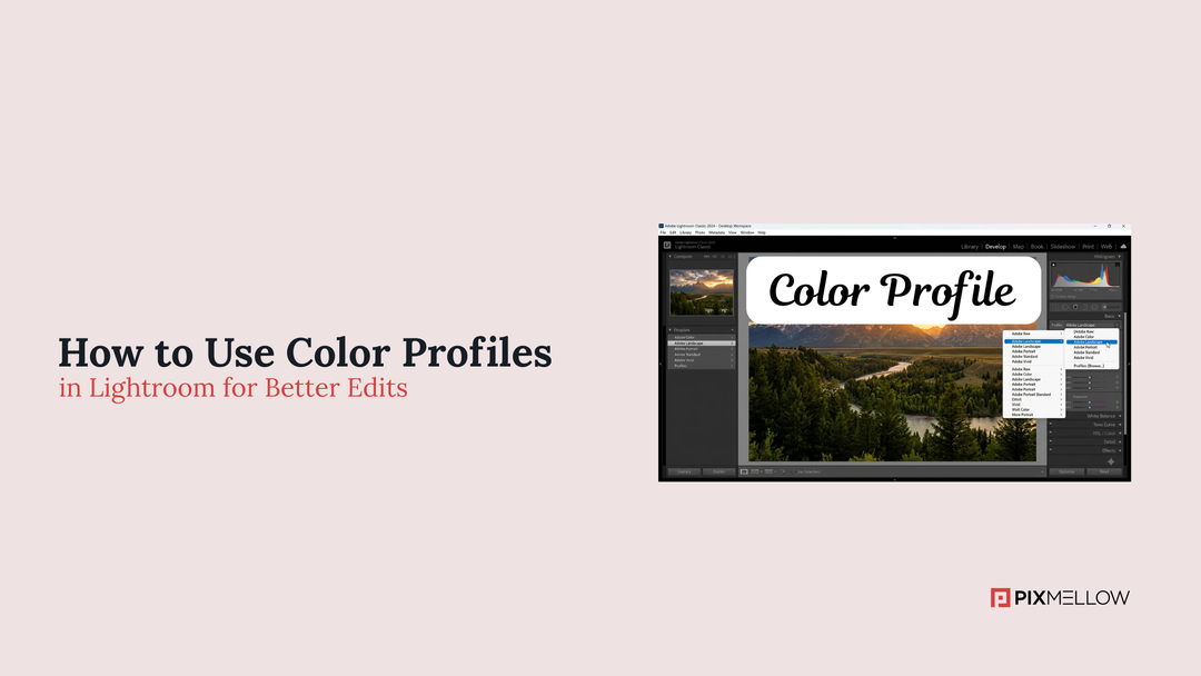 How to Use Color Profiles in Lightroom for Better Edits