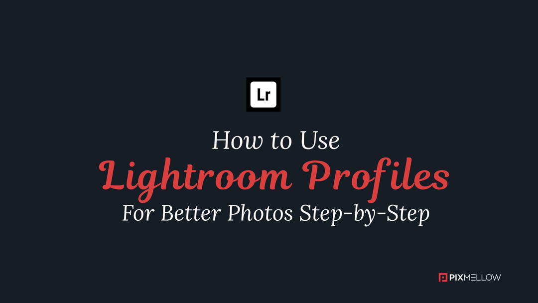 How To Use Lightroom Profiles For Better Photos Step-by-Step