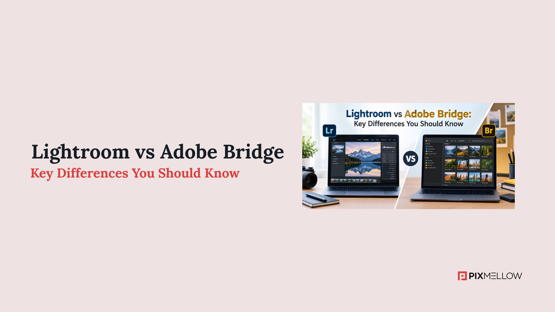 Lightroom vs Adobe Bridge: Key Differences You Should Know
