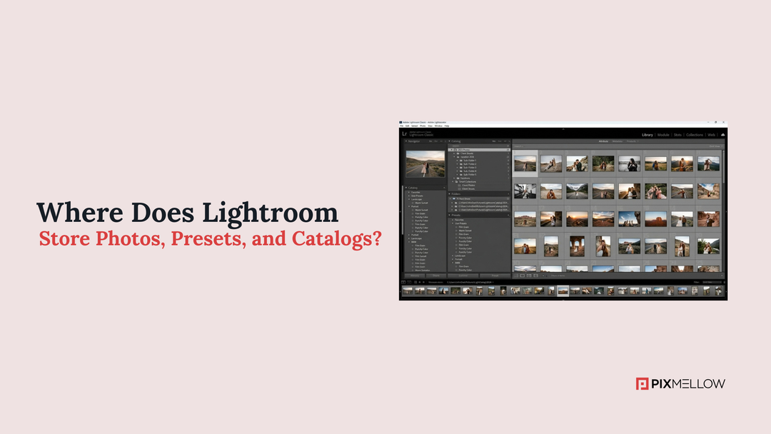 Where Does Lightroom Store Photos, Presets, and Catalogs?