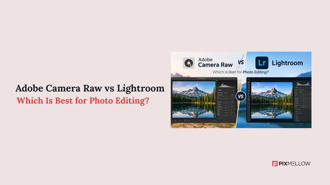 Adobe Camera Raw vs Lightroom: Which Is Best for Photo Editing?