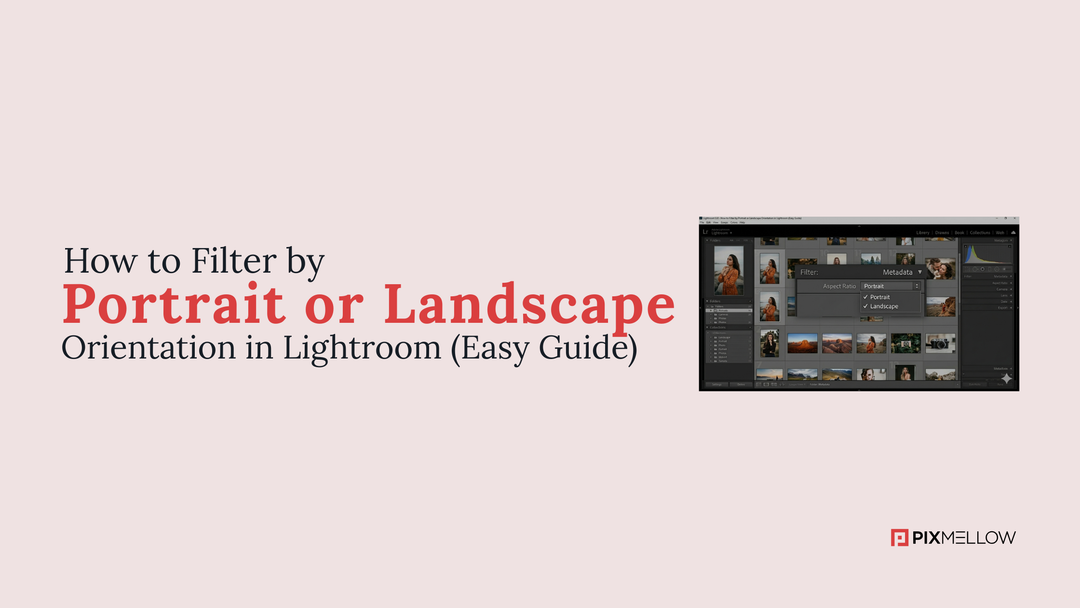 How to Filter by Portrait or Landscape Orientation in Lightroom (Easy Guide)