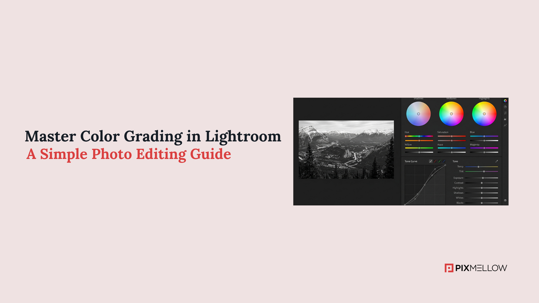 Master Color Grading in Lightroom: A Simple Photo Editing Guide