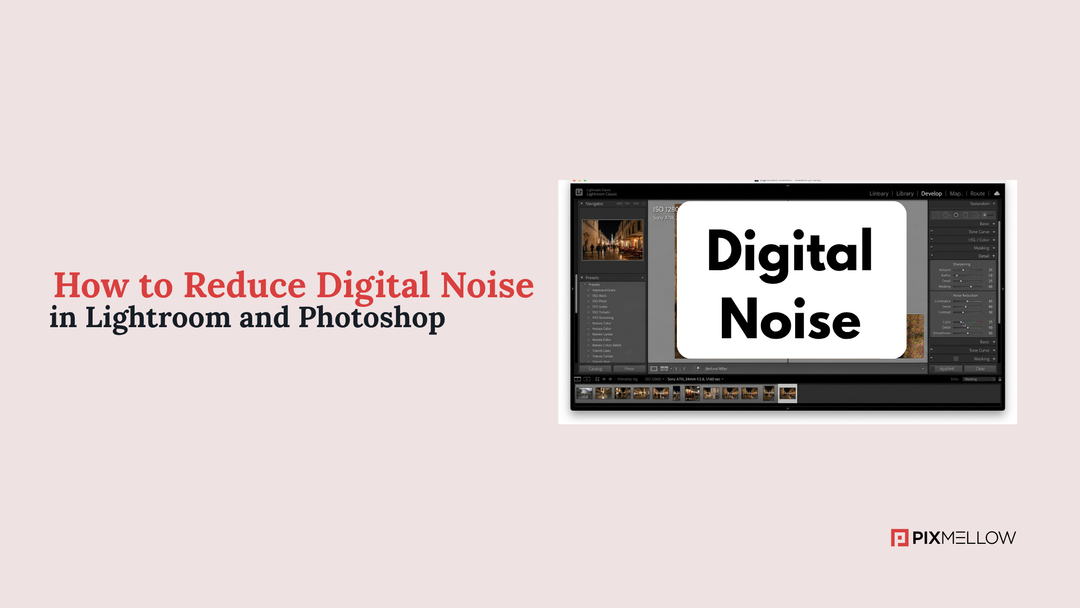 How to Reduce Digital Noise in Lightroom and Photoshop