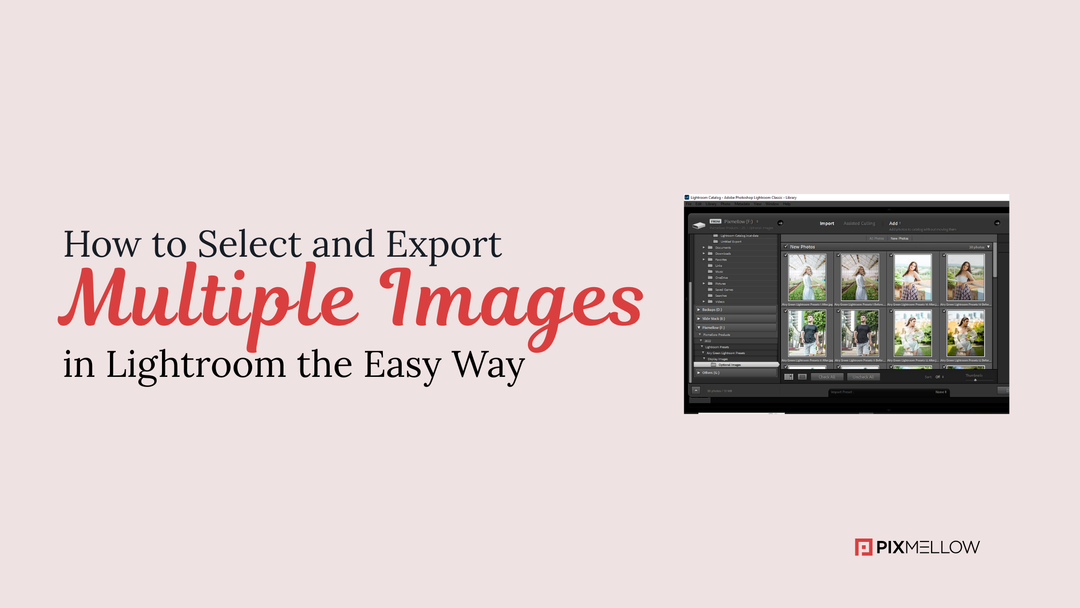 How to Select and Export Multiple Images in Lightroom the Easy Way