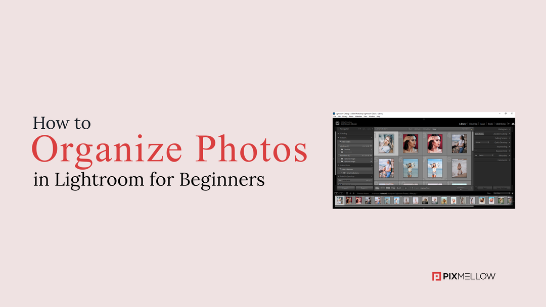 How to Organize Photos in Lightroom for Beginners