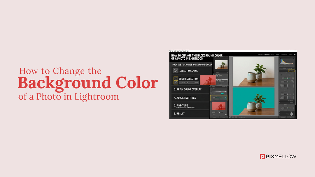 How to Change the Background Color of a Photo in Lightroom