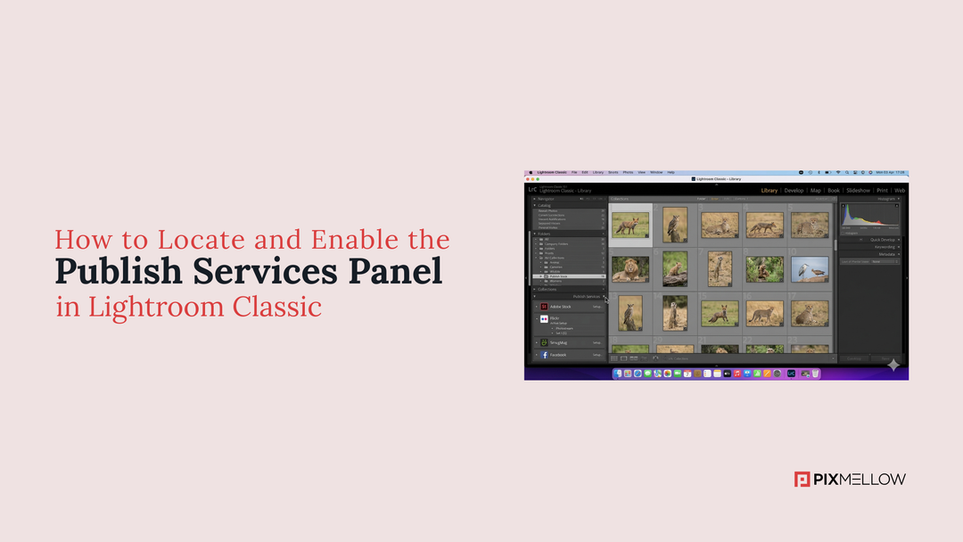 How to Locate and Enable the Publish Services Panel in Lightroom Classic