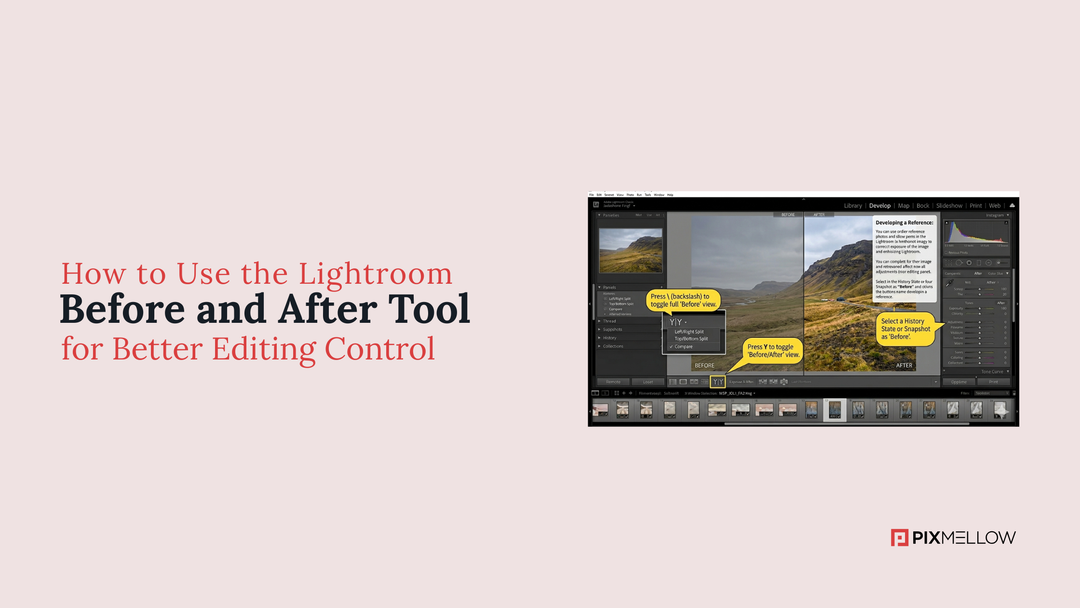 How to Use the Lightroom Before and After Tool for Better Editing Control