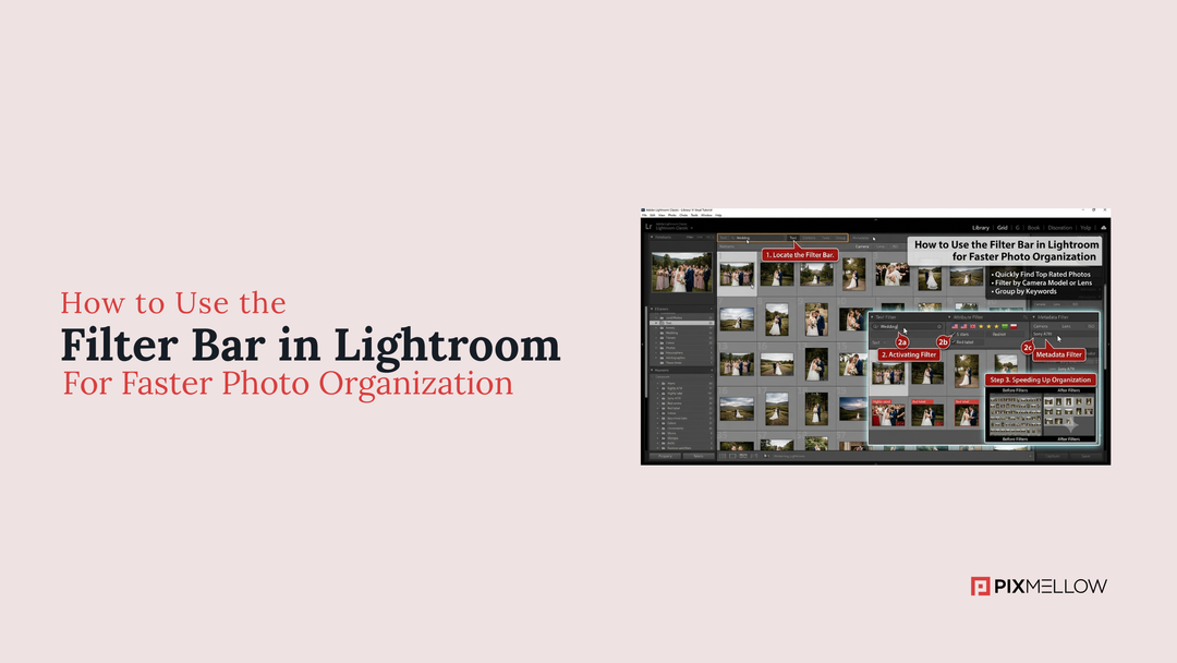 How to Use the Filter Bar in Lightroom for Faster Photo Organization