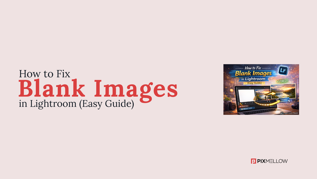 How to Fix Blank Images in Lightroom (Easy Guide)