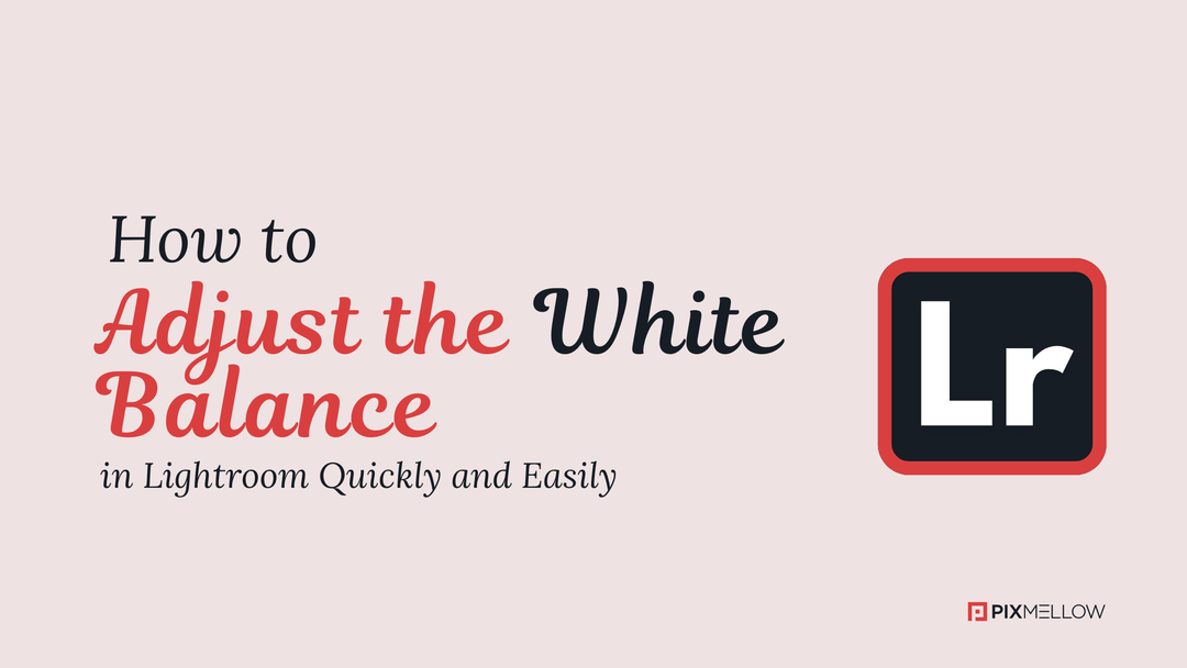 How to Adjust the White Balance in Lightroom Quickly and Easily