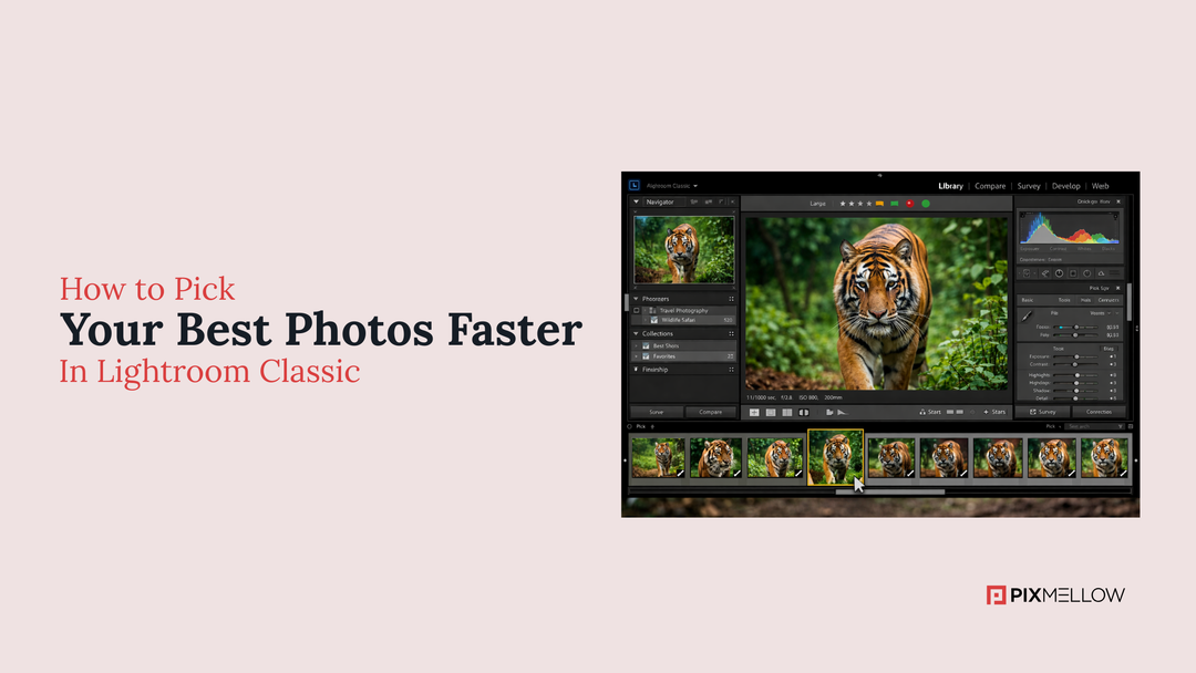 How to Pick Your Best Photos Faster in Lightroom Classic
