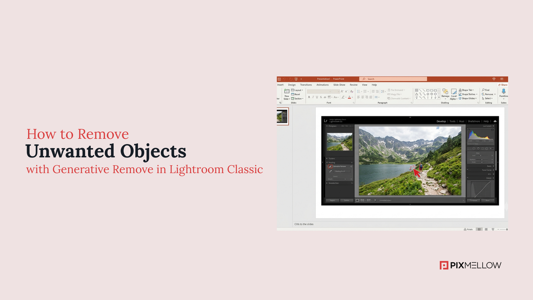How to Remove Unwanted Objects with Generative Remove in Lightroom Classic