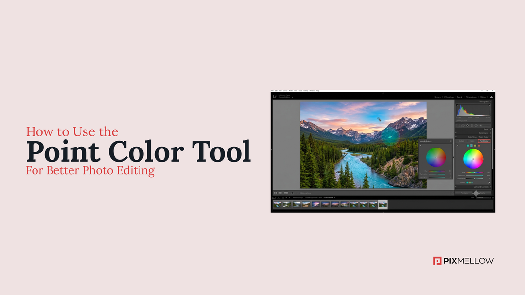 How to Use the Point Color Tool for Better Photo Editing