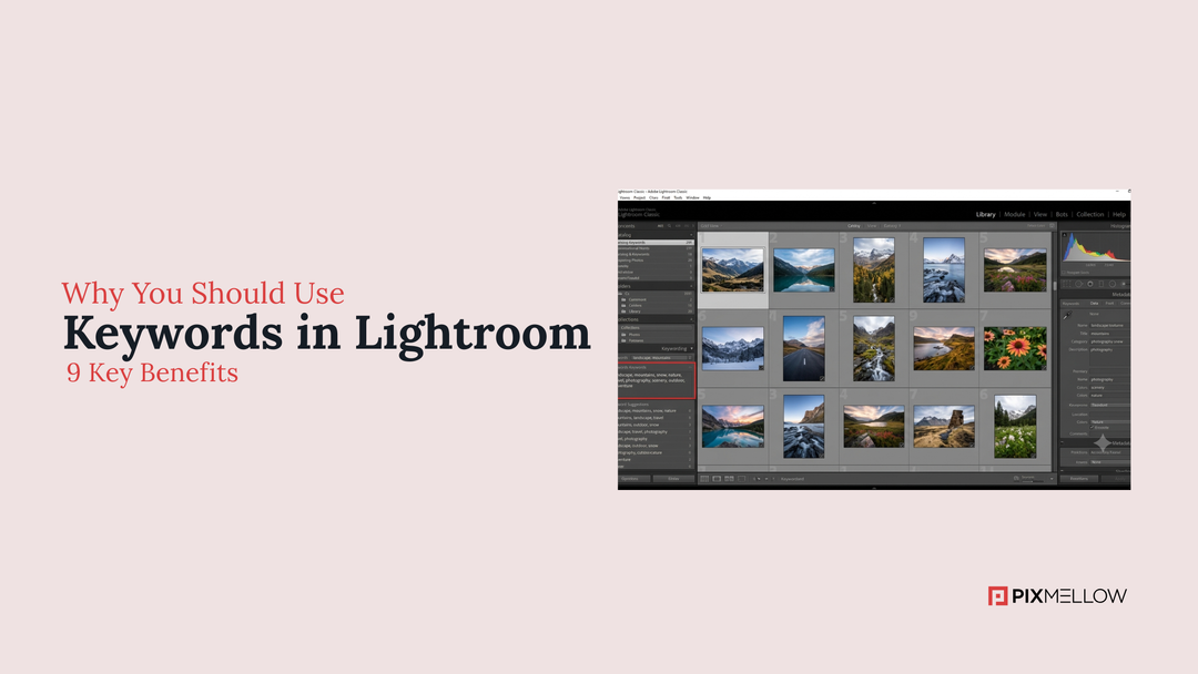 Why You Should Use Keywords in Lightroom Classic: 9 Key Benefits