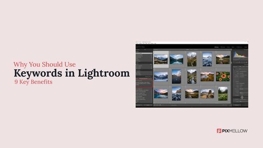 Why You Should Use Keywords in Lightroom Classic: 9 Key Benefits