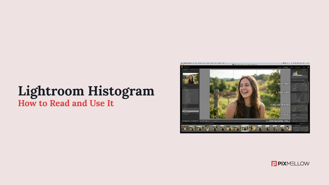 Lightroom Histogram: How to Read and Use It