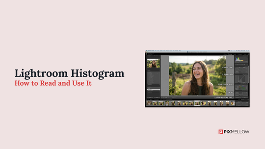 Lightroom Histogram: How to Read and Use It