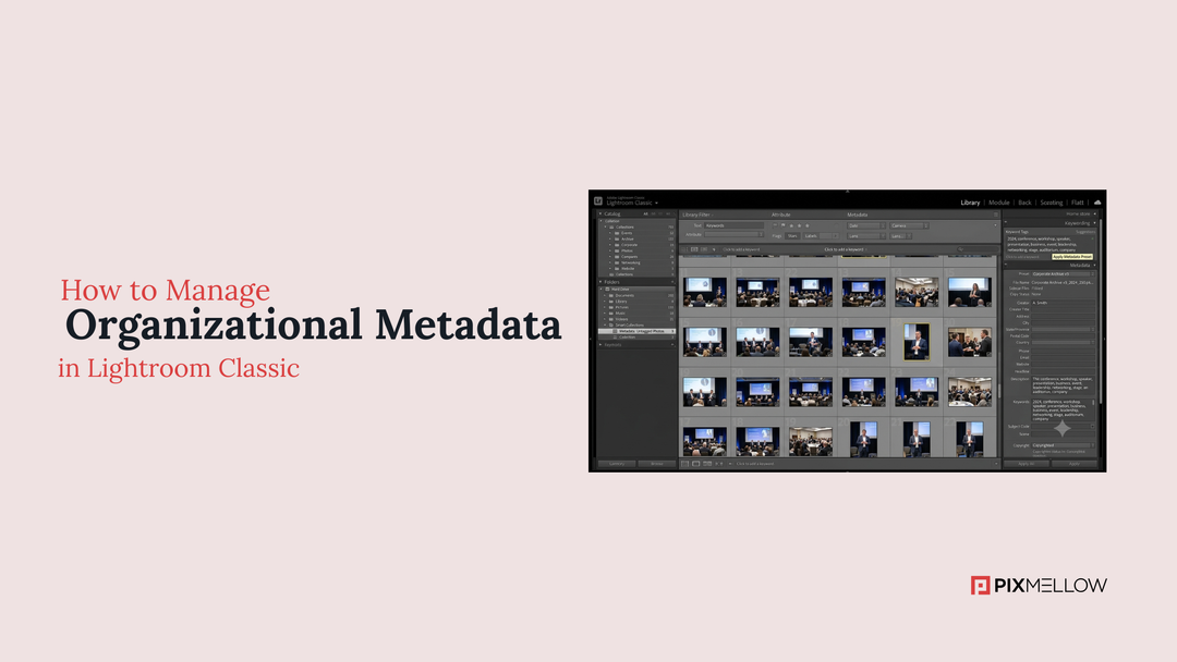How to Manage Organizational Metadata in Lightroom Classic
