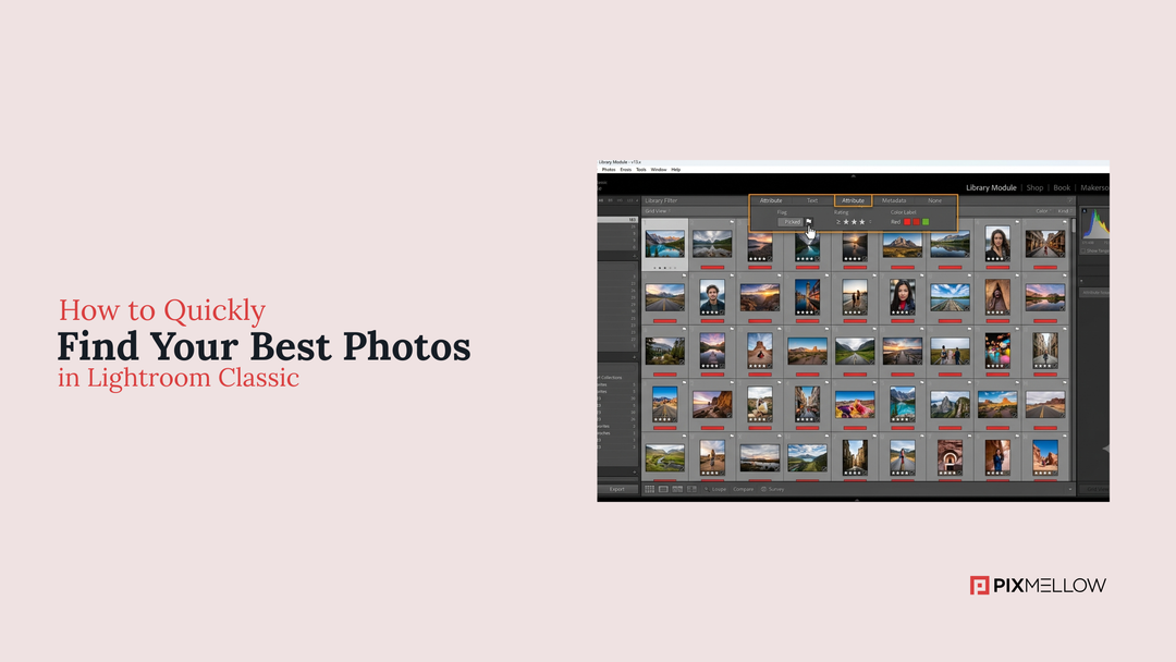 How to Quickly Find Your Best Photos in Lightroom Classic