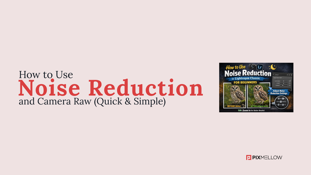 How to Use Noise Reduction in Lightroom Classic for Beginners