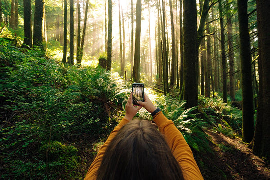 The Best Lightroom Presets For Nature