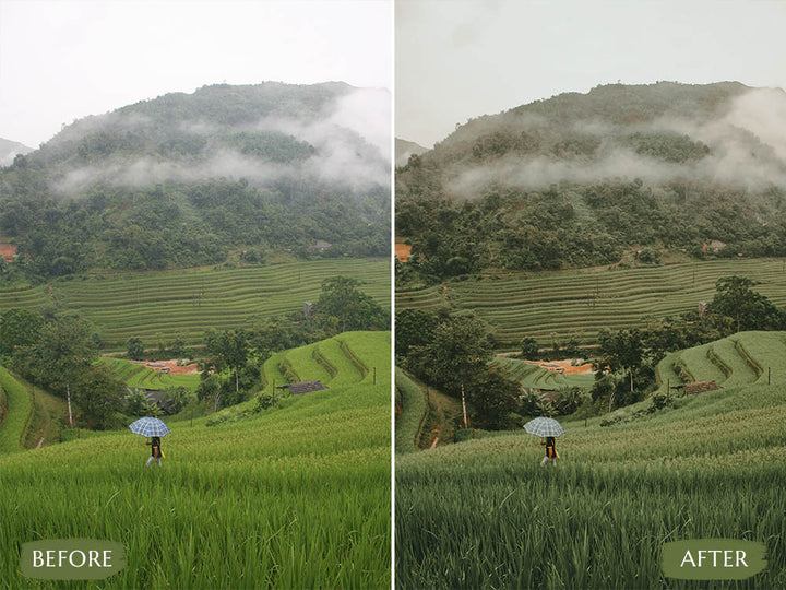 bali lightroom presets' 'lightroom bali presets'  'bali presets' 'apricot preset' 'bali lightroom mobile presets' 'bali preset lightroom free' 'bali lightroom presets free'  'preset bali' 'preset bali lightroom' 'bali preset lightroom' 'lightroom bali' 'the presets bali' 'preset lightroom bali' 'lightroom mobile presets 'best lightroom presets free' 'lightroom presets free download' 'free presets' 'lightroom presets free