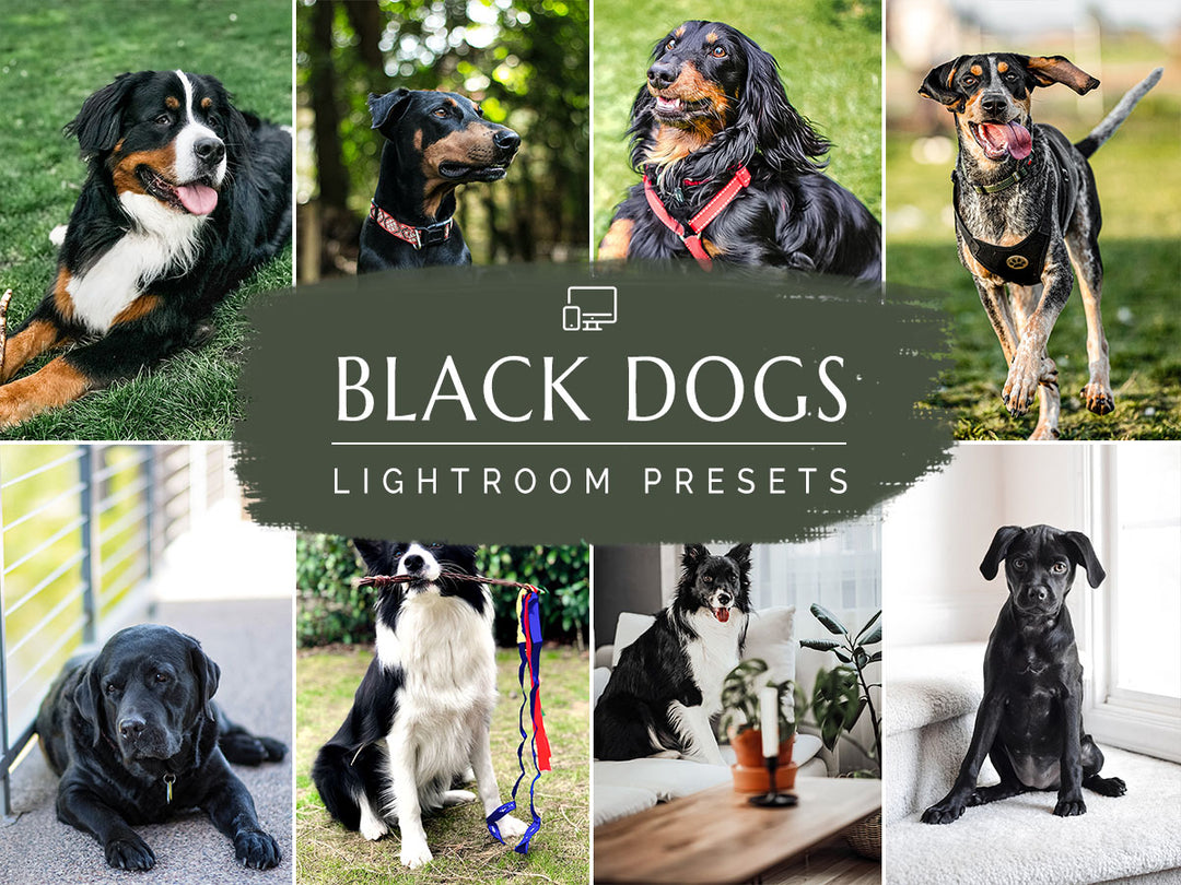 Black Dogs Lightroom Presets for Mobile and Desktop