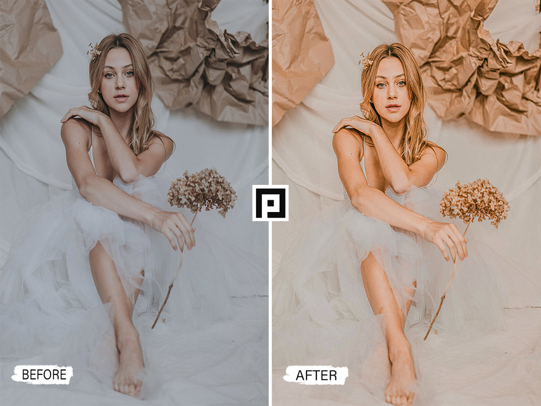 Classic Lightroom Presets for Mobile and Desktop