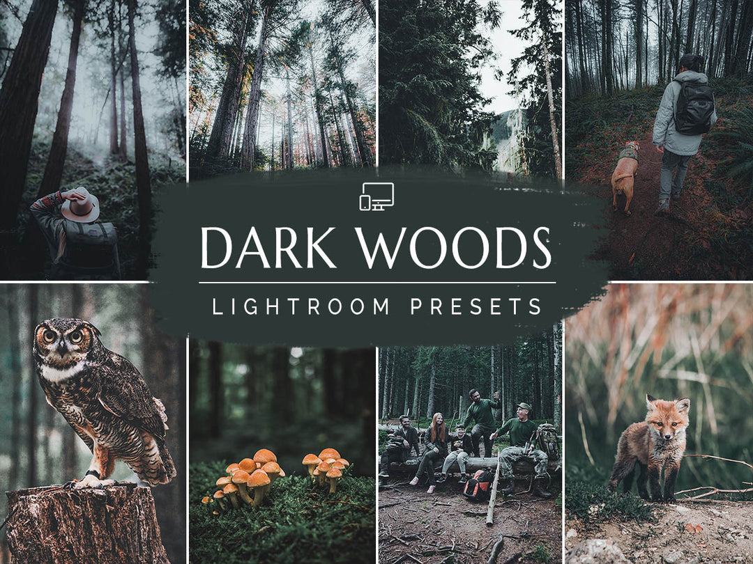Dark Woods Lightroom Presets For Mobile and Desktop